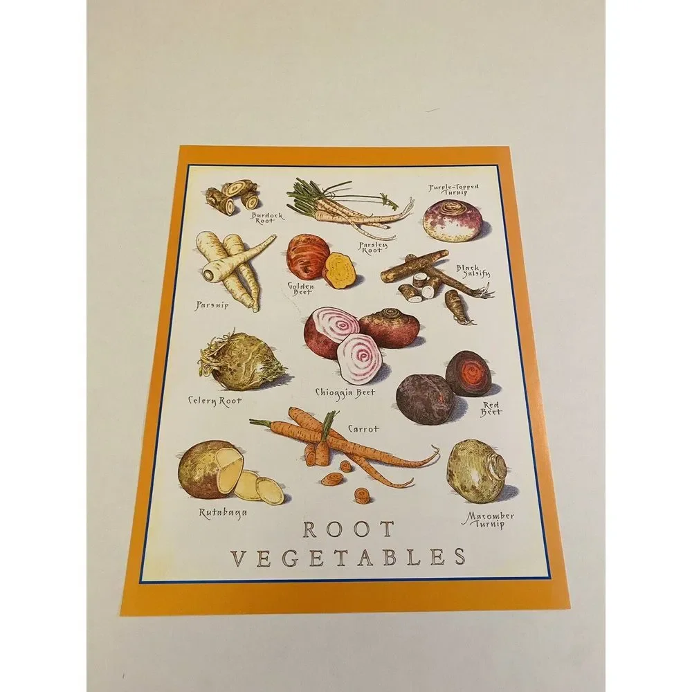 Cooks Illustrated Frameable Kitchen Art Back Cover Only Root Vegetables (C)